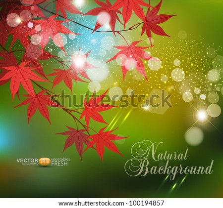 Vector red autumn leaves on a green background
