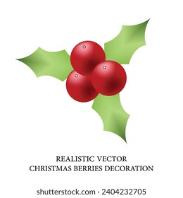 Vector red berries branch. Christmas red berries. Red berry.