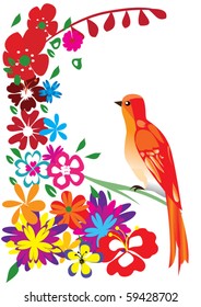 vector red bird