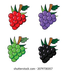 vector de uvas rojas, negras, verdes y moradas. colorido.
