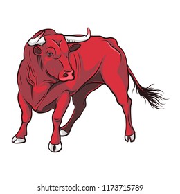 Vector Red Bull. Illustration on a white background