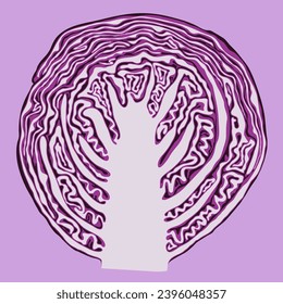 vector red cabbage cut isolated on purple background