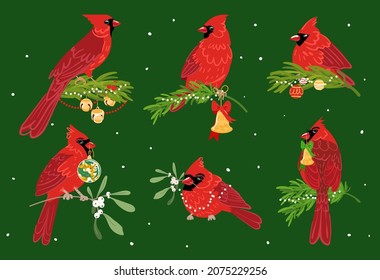 Vector red cardinal birds set with spruce branch, mistletoe, Christmas bell and decoration. Isolated on green background