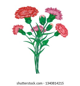 Vector red carnation or clove flower spring bouquet floral set with different blooming purple garden blossom illustration isolated on white background Perfect to use on banner or greeting card design