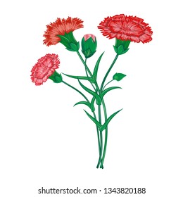Vector red carnation or clove flower spring bouquet floral set with different blooming purple garden blossom illustration isolated on white background Perfect to use on banner or greeting card design