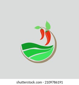 vector para los productores de chile rojo