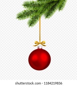 Vector red christmas decoration, gold ribbon with pine branch isolated on transparent background.