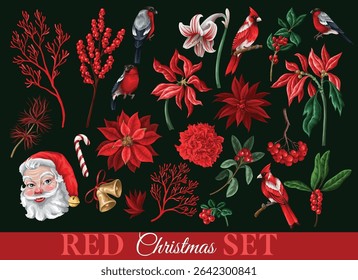 Vector red Christmas elements set with birds flowers and berries