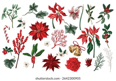 Vector red Christmas elements set with birds flowers and berries