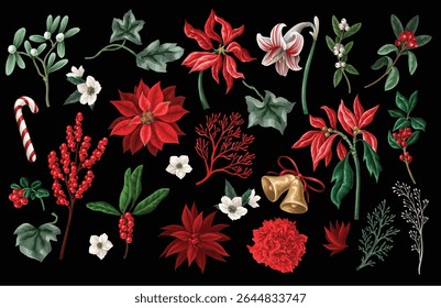 Vector red Christmas elements set with birds flowers and berries