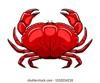 Vector of the red crab