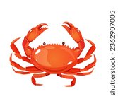 Vector red crab isolated on white background