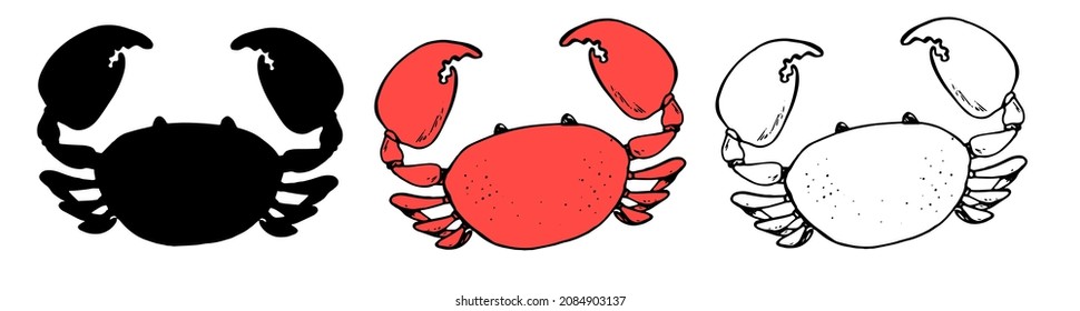 Vector red crab set. drawing of a marine animal, a whole crab with large claws, with a black outline and silhouette, sketch-style drawing, top view, on white. Black set of sketch crab in vintage style