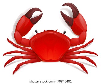 vector red crab, shellfish