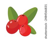 Vector red cranberry flat icon. cranberries isolated on white background. Berry. flat design element. 