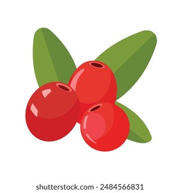 Vector red cranberry flat icon. cranberries isolated on white background. Berry. flat design element. 