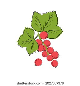 Farbige Vektorroter Johannisbeere Illustration einzeln auf hellem Hintergrund.