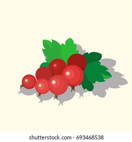 Vector Red Currant Colorful Illustration Isolated on Light Background.