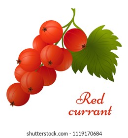Vector red currant with leaves on branch icon. Isolated elements on white background. Perfect for game icon or other design works.