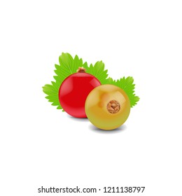 vector red currant and yellow currant of groupe with leafs