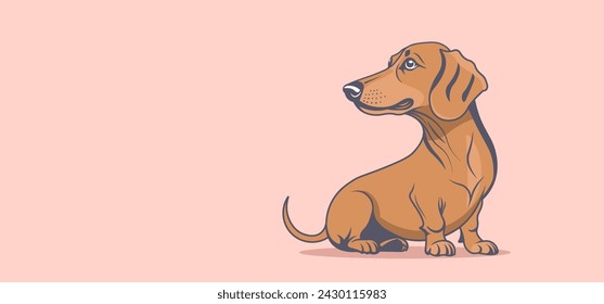 Vector red cute little sitting turned around dachshund breed dog. Good-natured friendly pet. Light isolated background.