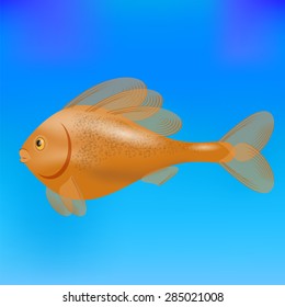 Vector Red Cute Sea Fish Isolated on Blue Water Background.