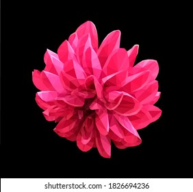 Vektorrote Dahlienblume einzeln auf schwarzem Hintergrund. Helles, detailliertes und akkurates Design im Low-Poly-Stil. Blumendesign-Element.