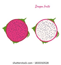 Vector red dragon tropical fruit half slice white and dark red and little black seed drawing on white