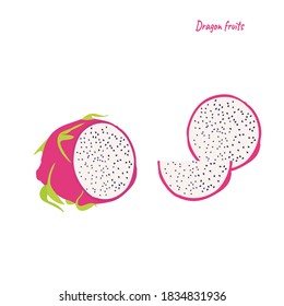 Vector red dragon tropical fruit half slice white and little black seed drawing on white