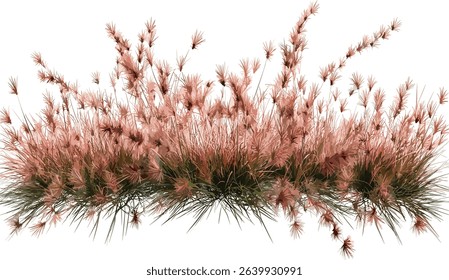Vector red flora, grass fields cutout, transparent background, aerial view png, flora illustrations, nature vector, red grass fields, cutout illustrations, transparent field