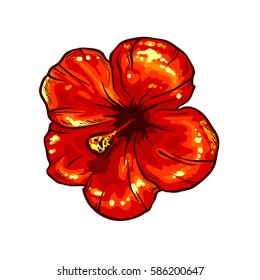 Vector red flower.