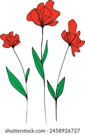 Vector red flower drawing . Color illustration of flowers in the style of line art.