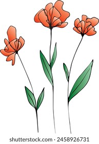 Vector red flower drawing . Color illustration of flowers in the style of line art.