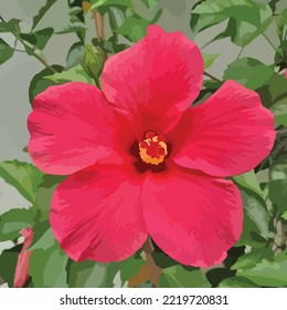 vector red flower illustration template
