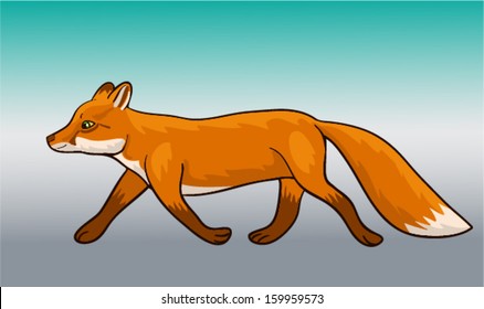 vector red fox