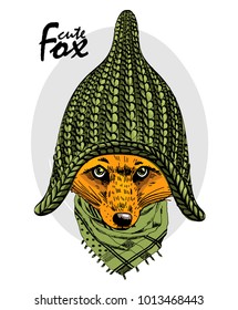 Vector red fox with green knitted hat and scarf. Hand drawn illustration of dressed fox.