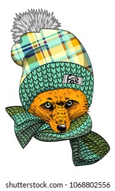 Vector red fox with green scarf and knitted hat. Fox in a knitted hat. Hand drawn illustration of dressed fox.