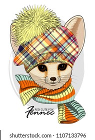 Vector red fox with knitted beret and scarf. Hand drawn illustration of dressed fennec fox.