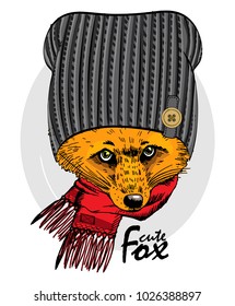 Vector red fox with red scarf and grey knitted hat. Hand drawn illustration of dressed fox.