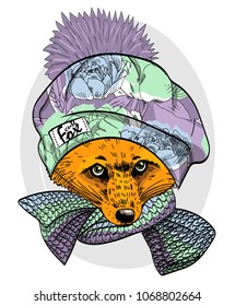 Vector red fox with scarf and knitted beret. Fox in a hat. Hand drawn illustration of dressed fox.
