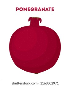 Vector red fruit - pomegranate. Juicy nutrition, tasty dessert with seeds. Natural vegetarian product.