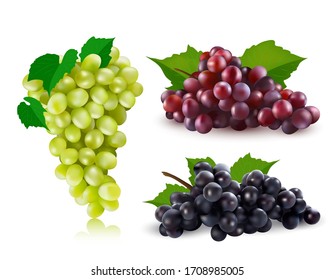 Vector red grapes, black grapes, green grapes set illustration. 3d realistic vector red, black and green bunch of grapes isolated on white background.