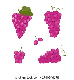 Vector red grapes set illustration. Fresh cartoon berry isolated on white background.