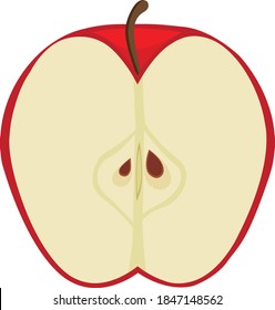 Vector red and green apple slice