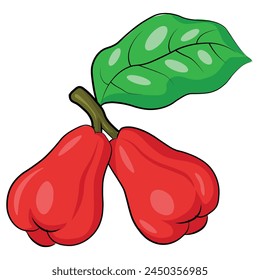 Vector Guayaba roja con hojas