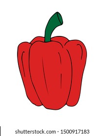 Vector red hand drawn sketch bell pepper isolated on white background