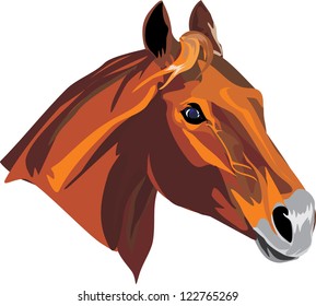 Vector red horse head