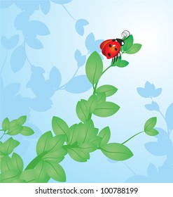 vector red ladybird on the tree branch on  sky background