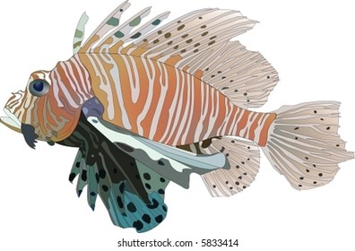 vector Red Lionfish (Pterois volitans)