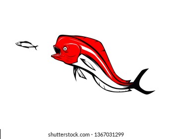 vector of  red mahi mahi fish chasing small fish to eat. Coryphaena hippurus fish.